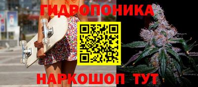 СК Кандалакша