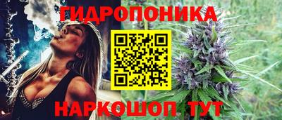 jwh Камышлов
