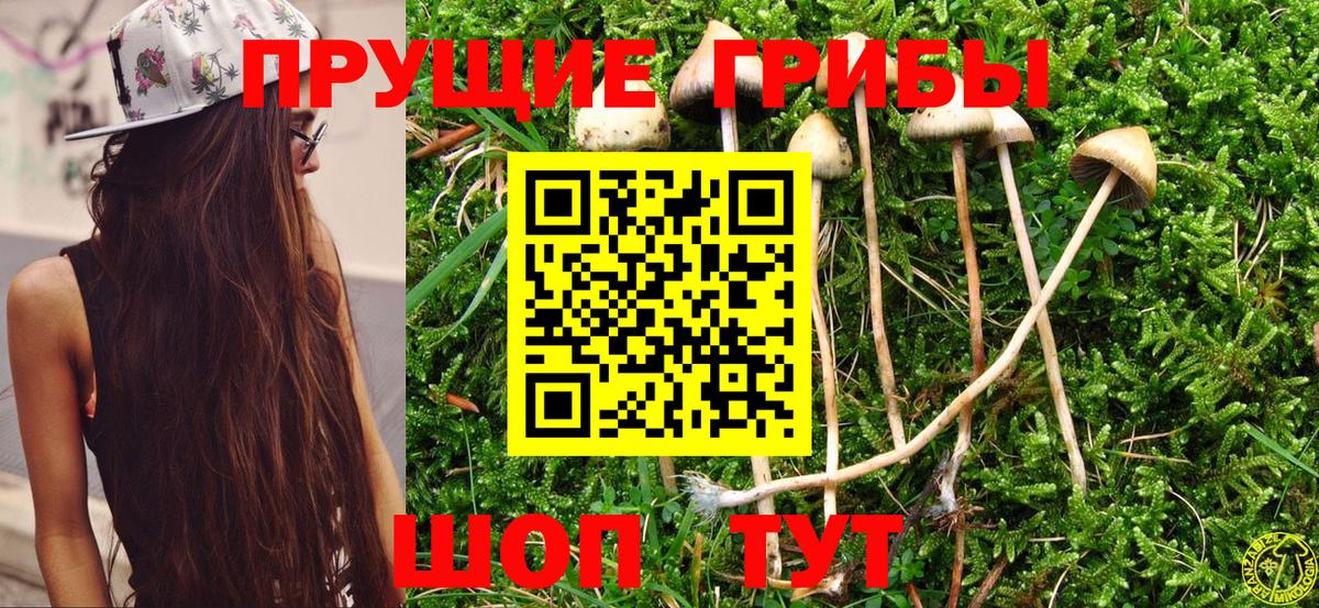 Галлюциногенные грибы ЛСД  Вход с VPN  Лысьва 